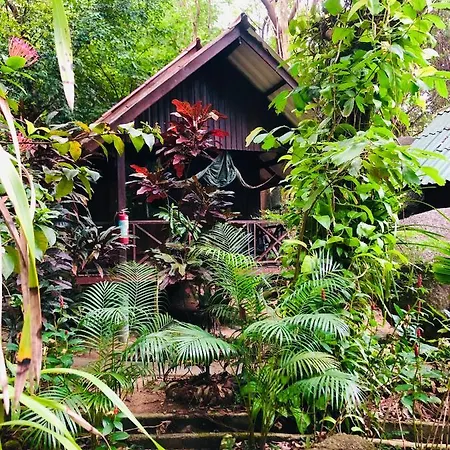 Bambu Huts Hotel Baan Tai Exterior photo