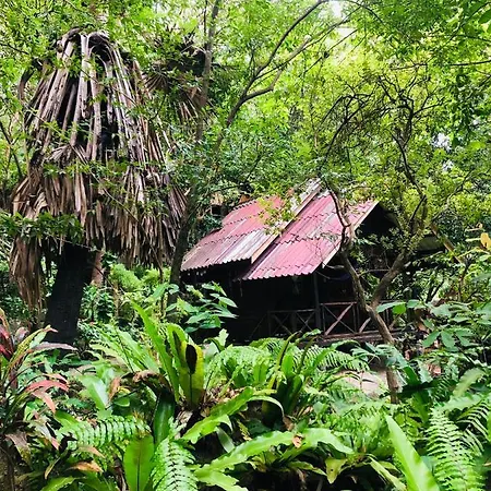 Bambu Huts Hotel Baan Tai Exterior photo