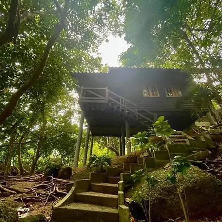 Bambu Huts Hotel Baan Tai Exterior photo