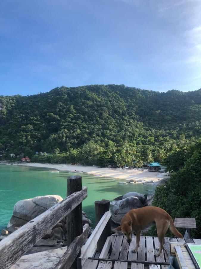 Bambu Huts Station touristique *